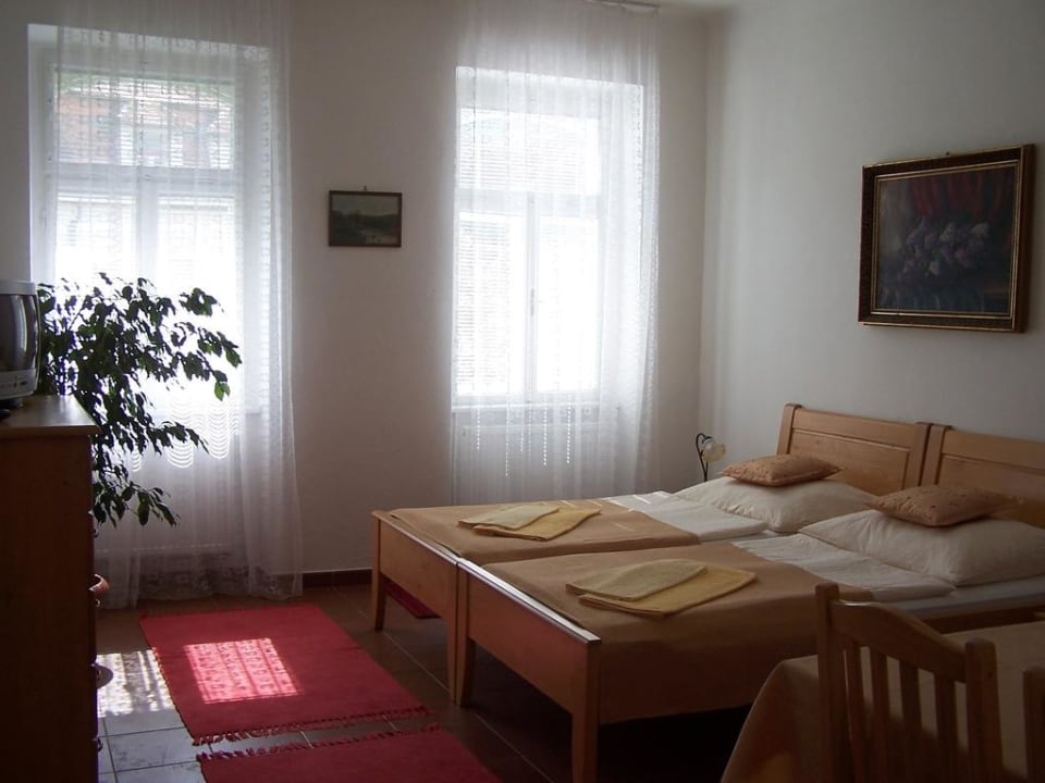 Penzion Jelen - studio č. 4 Pension JELEN - Vranov nad Dyjí