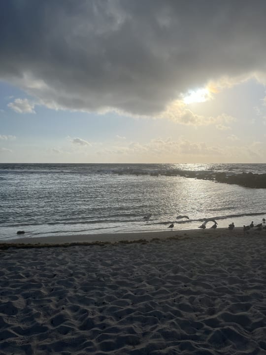 Strand Bahia Principe Luxury Akumal