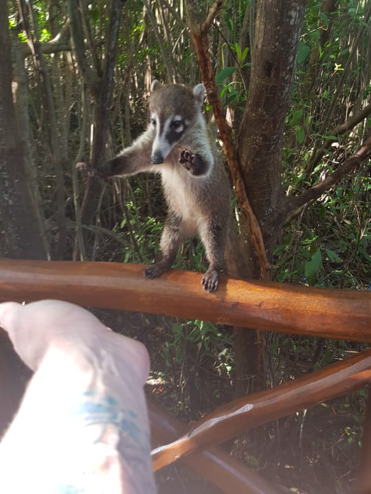 Strand Grand Riviera Princess All Suites & Spa Resort