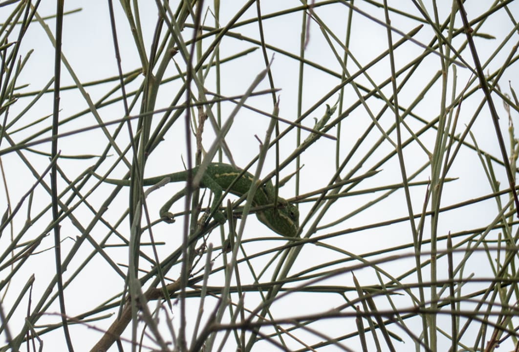 Sonstiges Hotel Playa de la Luz