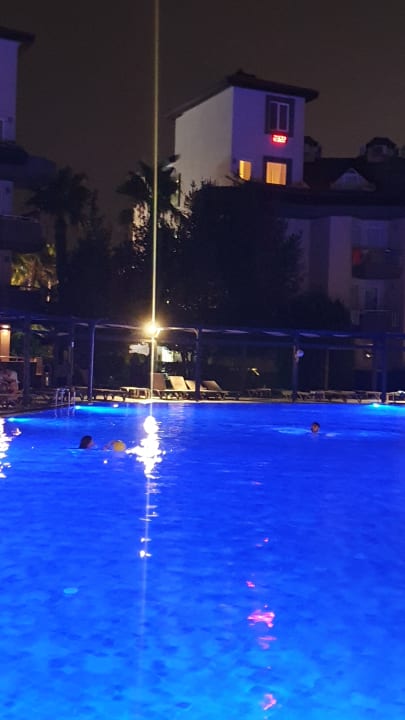 Pool Hotel Orfeus Park
