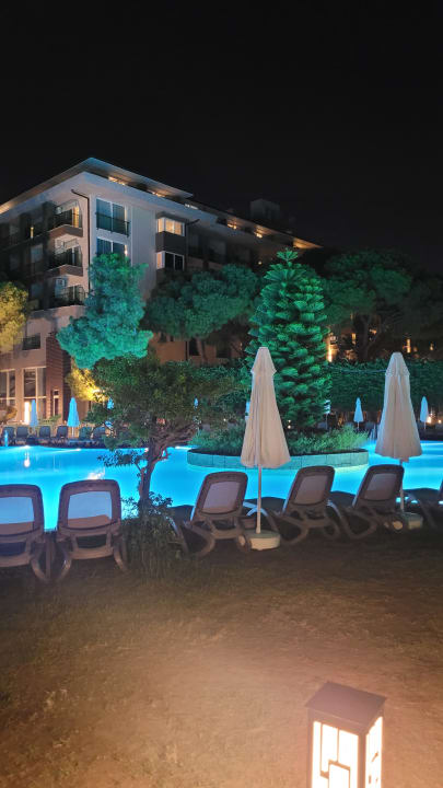 Pool Papillon Ayscha