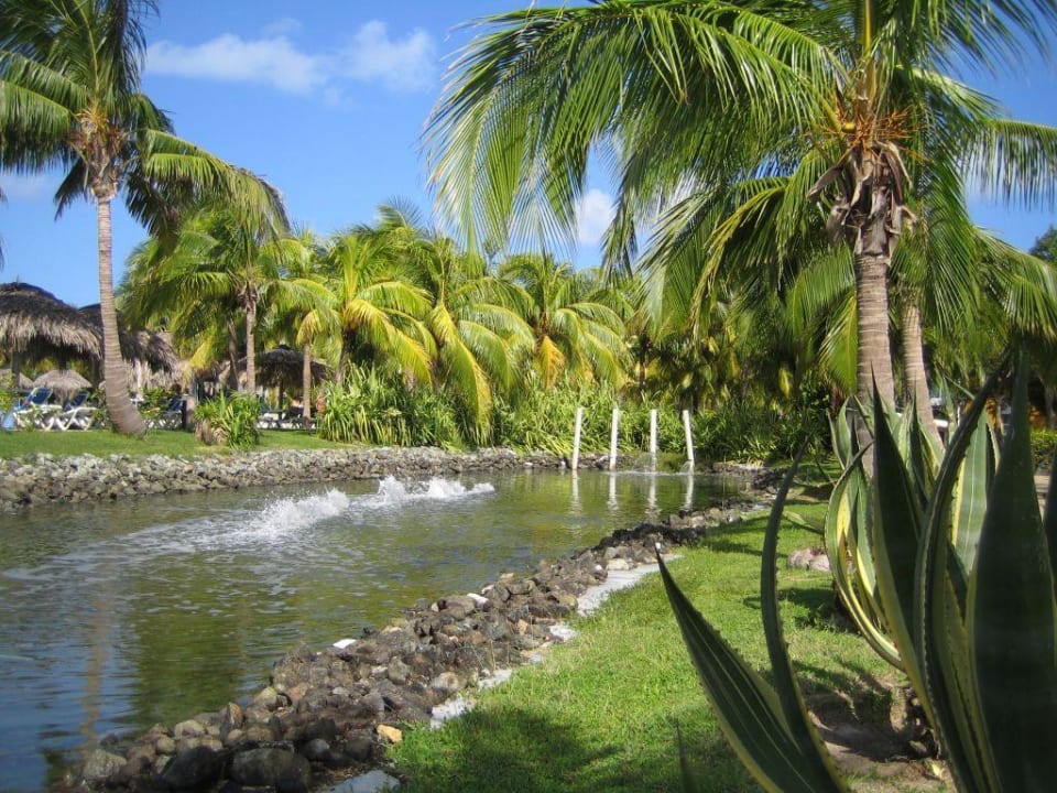 Gartenanlage Melia Las Antillas - Adults only
