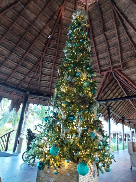 Lobby Akumal Bay Beach & Wellness Resort