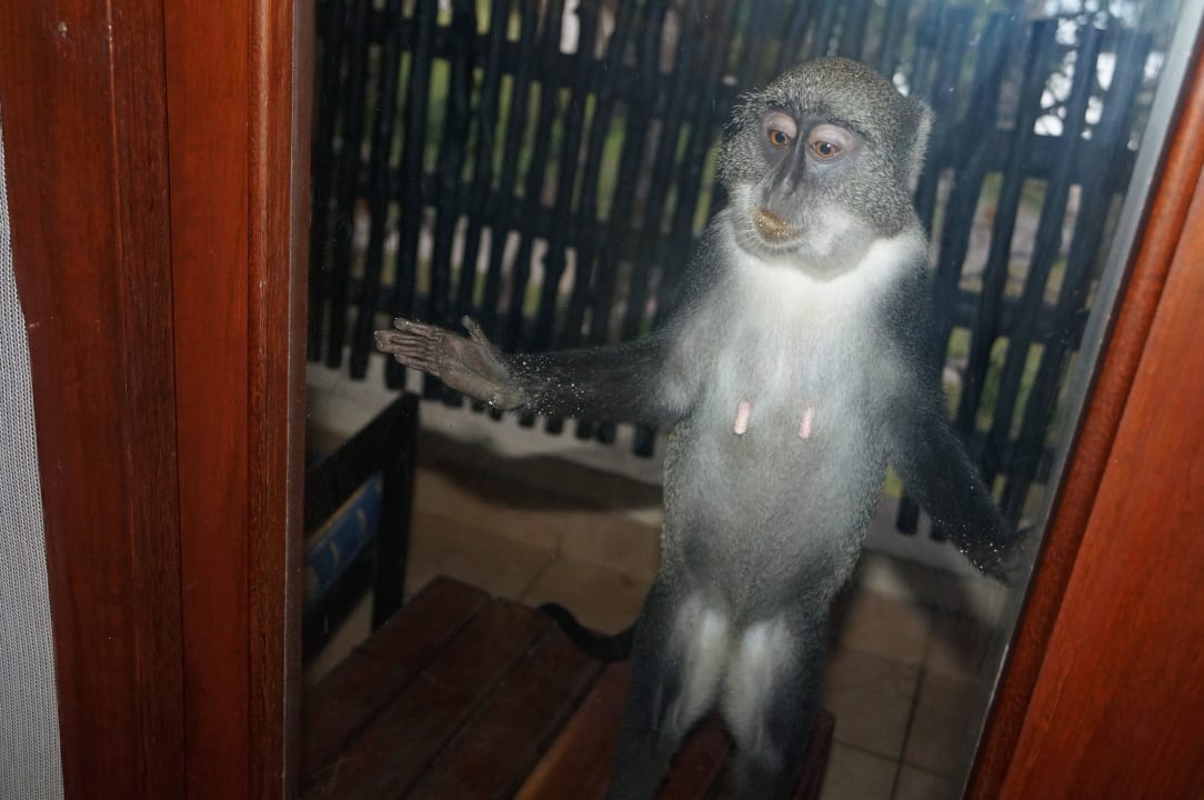 Besuch Baobab Beach Resort & Spa