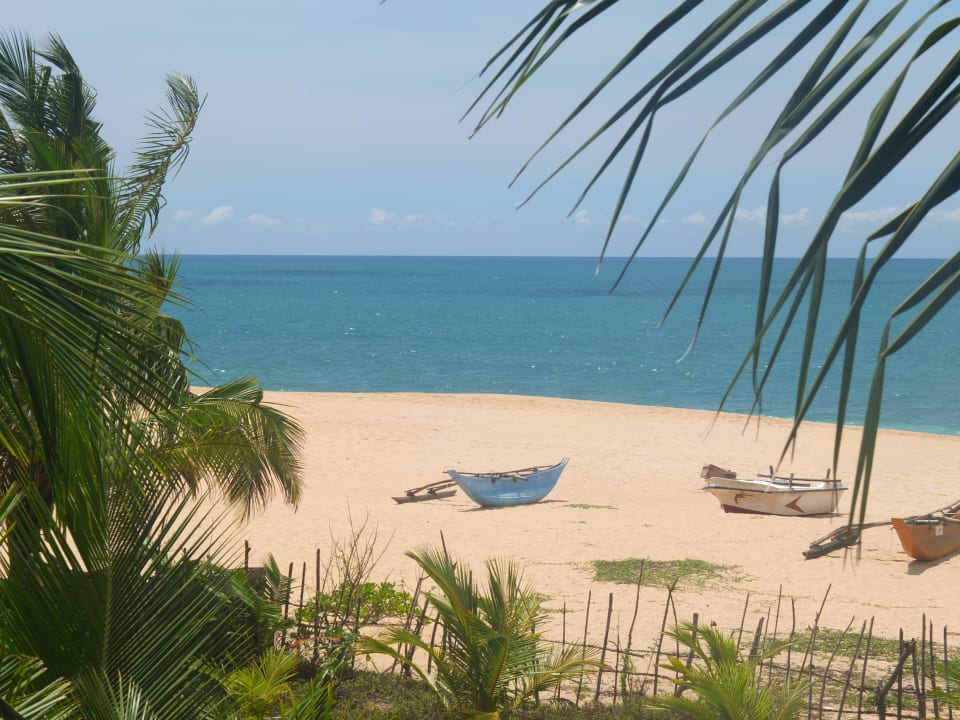 Strandblick Balkon Lonely Beach (3. Stock) Lonely Beach Resort Tangalle