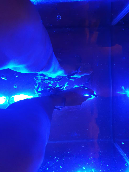 Sport & Freizeit Belek Beach Resort Hotel