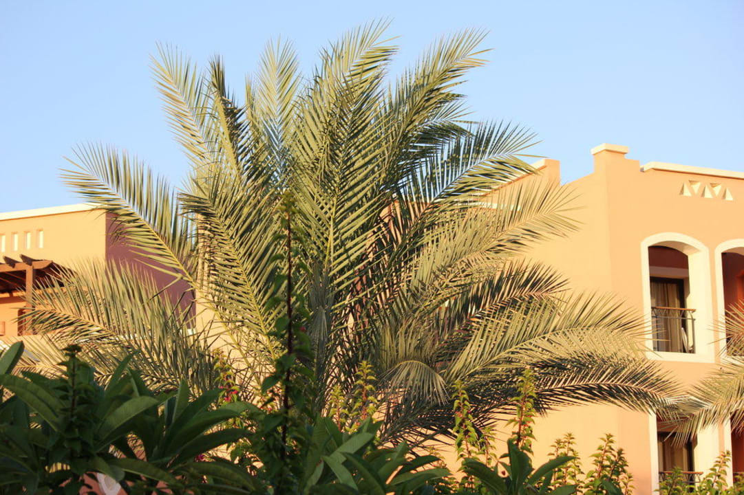 Sehr schöner... Jaz Dar EL Madina