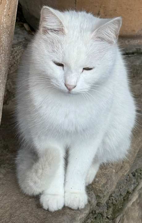 Gartenanlage Barut Hemera