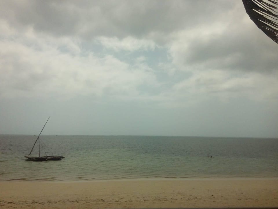 Dookoła mąka Neptune Beach Resort