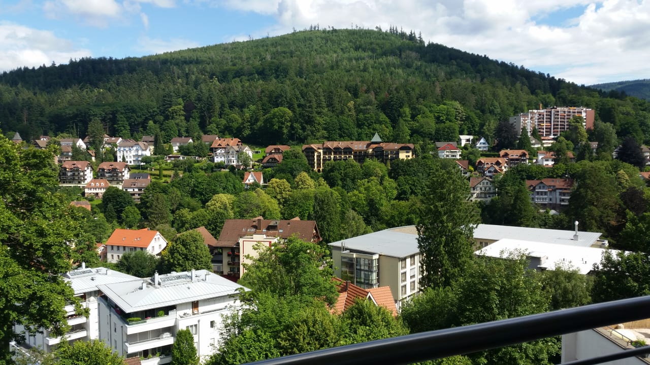 Ausblick Hotel Schwarzwald Panorama