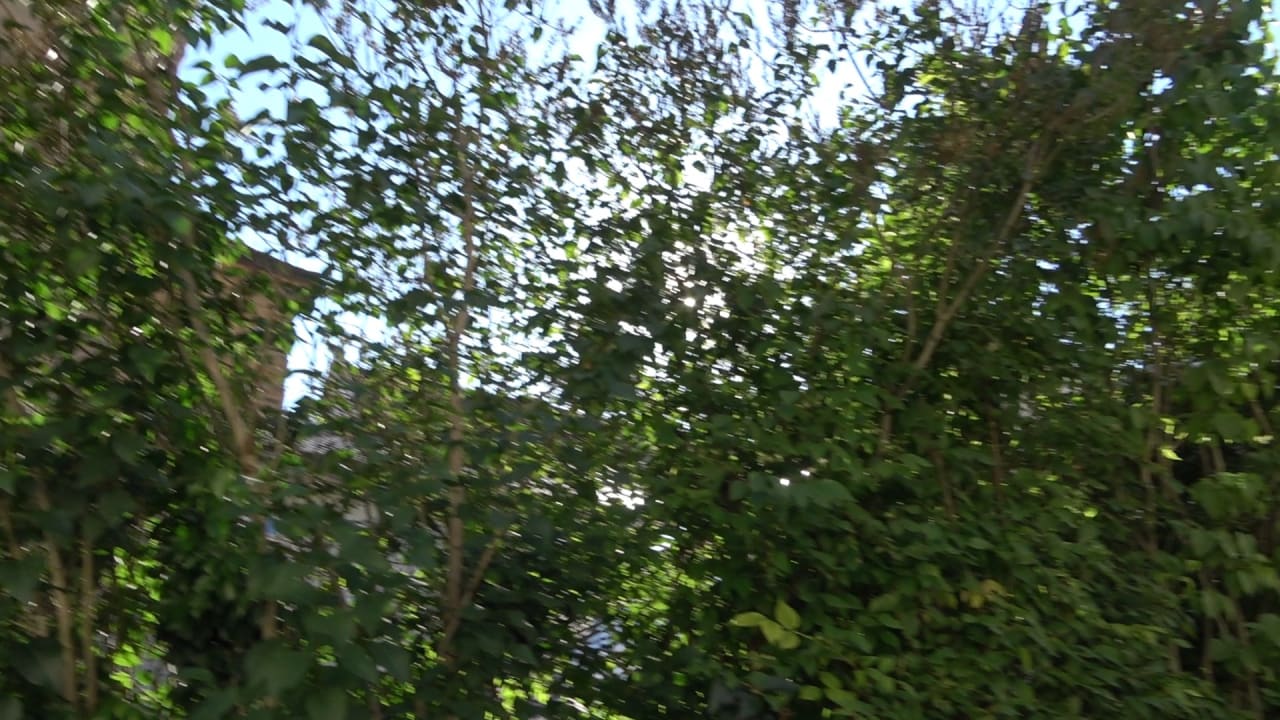 Gartenanlage Hotel Schloss Weitenburg