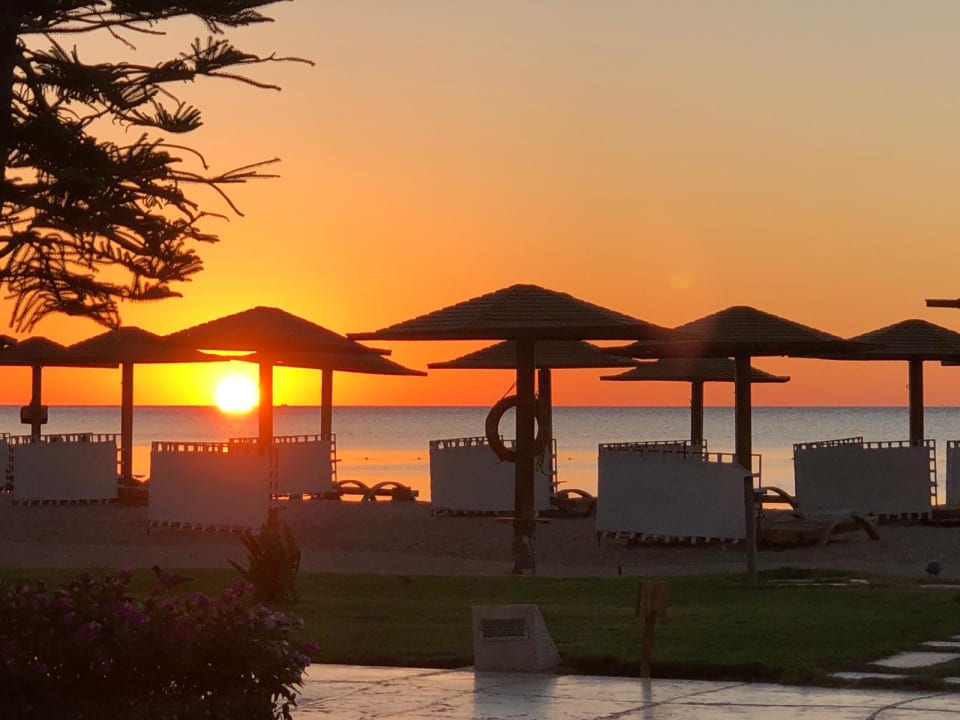 Ausblick Shams Prestige Abu Soma-Adults Only