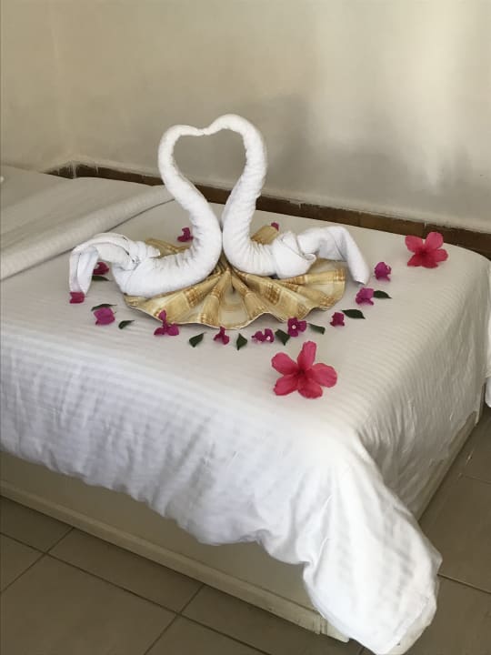 Zimmer Giftun Azur Resort