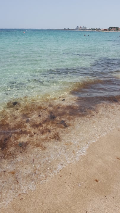 Meer  Salamis Bay Conti Resort Hotel & Casino