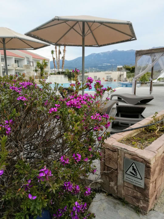 Pool Ilios K Village Resort