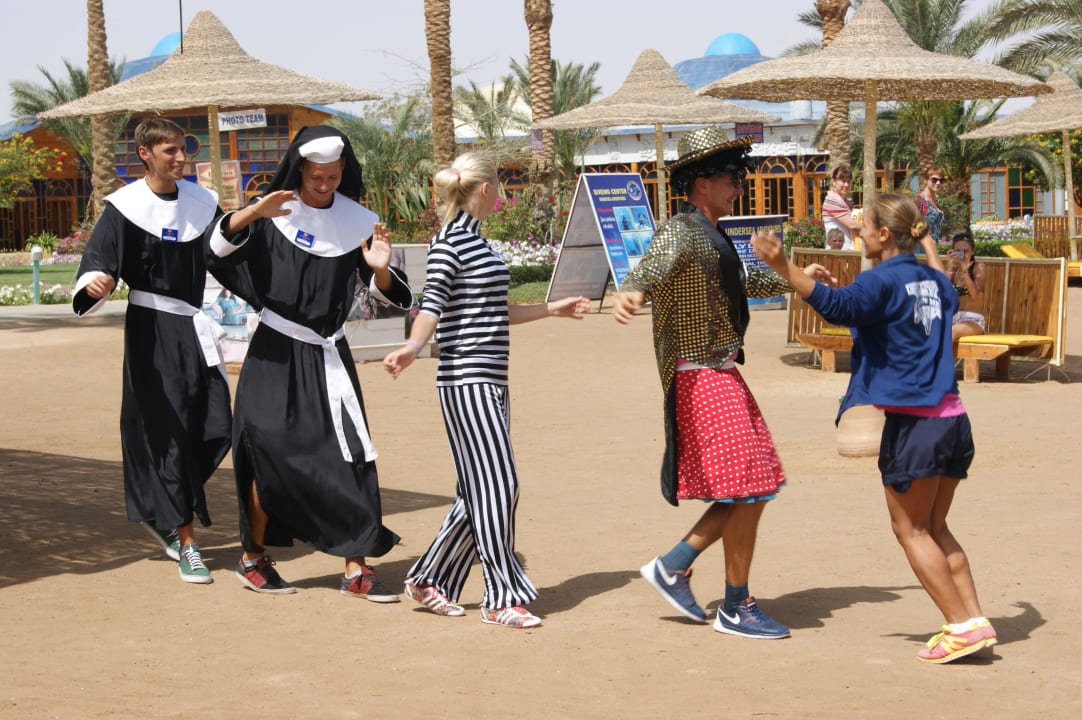 Анимационная команда  Desert Rose