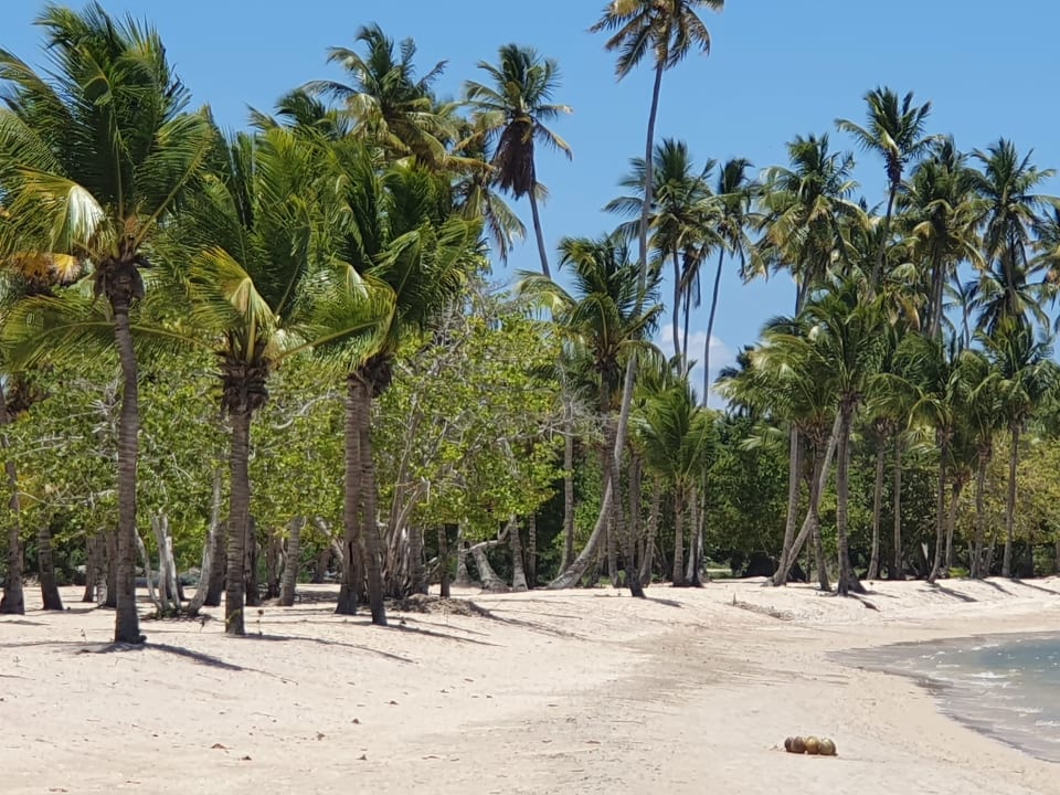 Strand Bahia Principe Luxury Bouganville