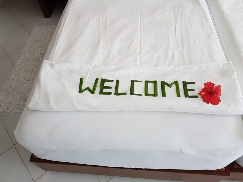 Zimmer Hotel Lanka Princess Ayurveda