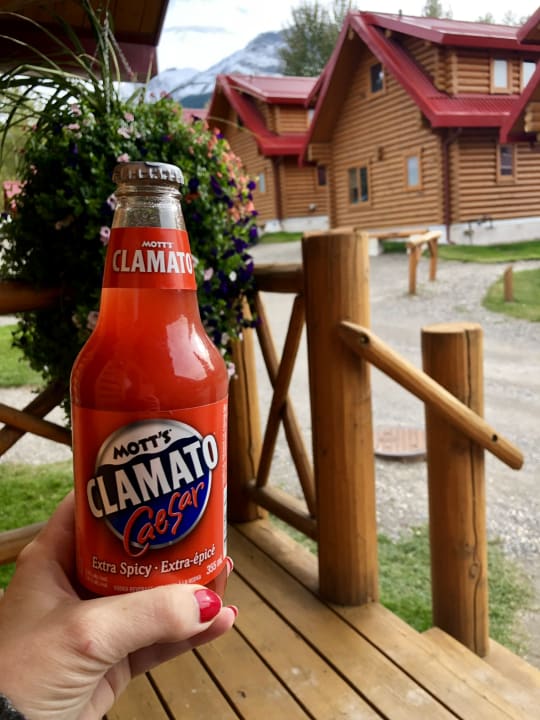 Ausblick Pocahontas Cabins