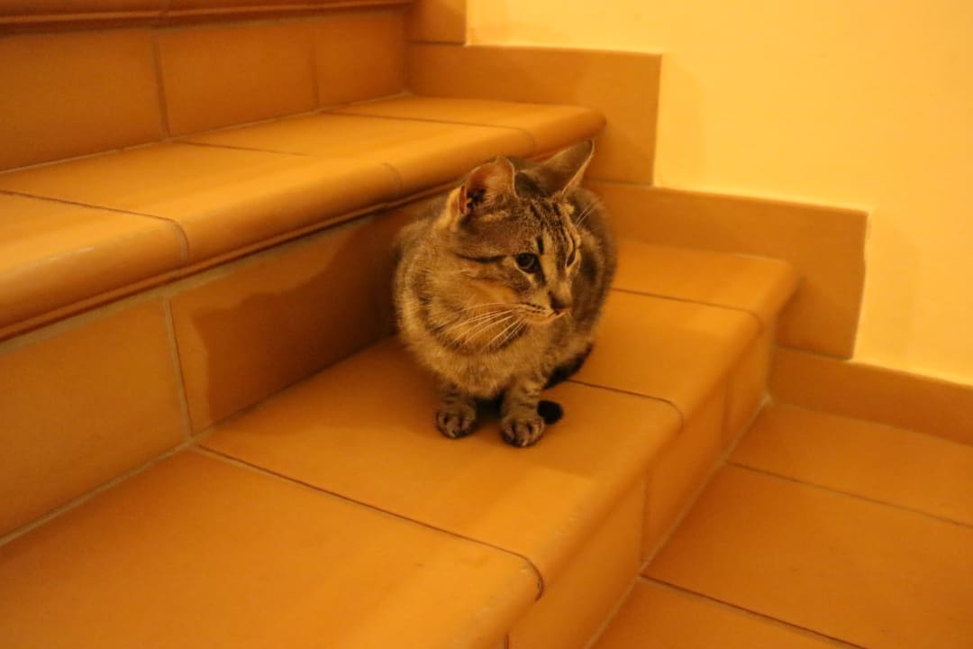 Außenansicht Hotel Riu Touareg