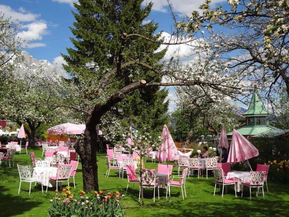 Weissrosa tafeln unter blühenden Apfelbäumen. Alpenresort Schwarz