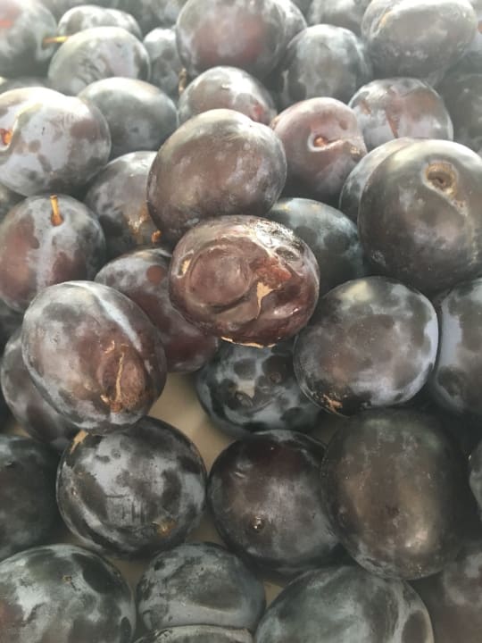 Gastro Bellevue Goldstrand