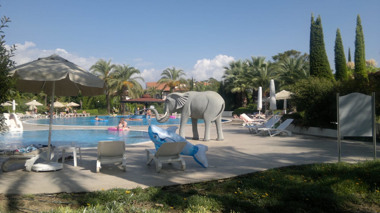 Basen dla dzieci Starlight Resort Hotel