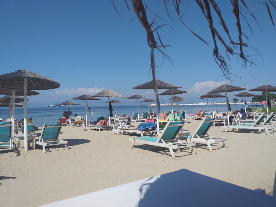 "Strand" COOEE Mediterranean Beach Hotel (Skala Rachoni) • HolidayCheck