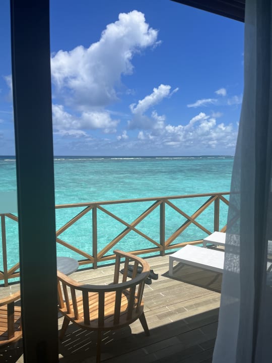 Zimmer Joy Island