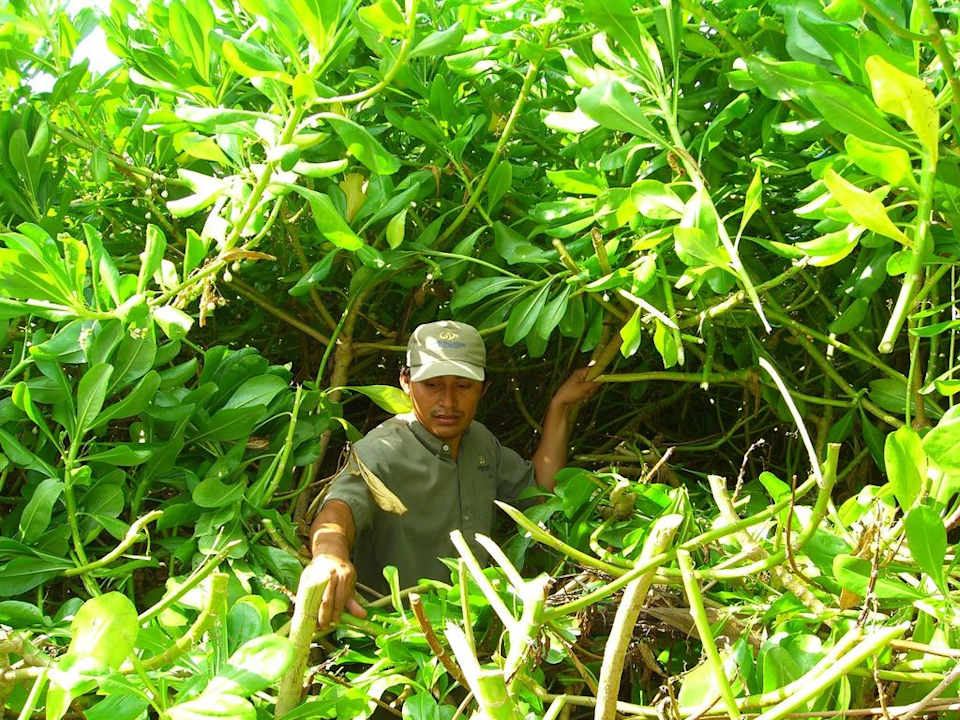 Buschmann  Grand Palladium Select White Sand Resort & Spa