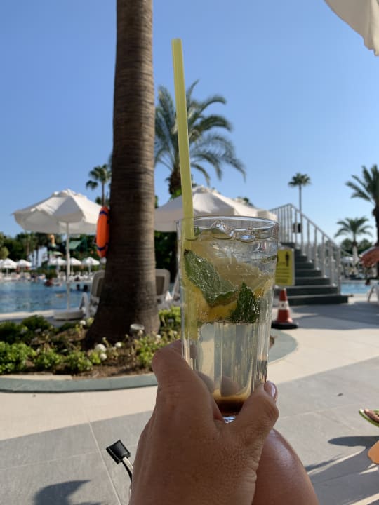 Gastro Arycanda Kirman Premium