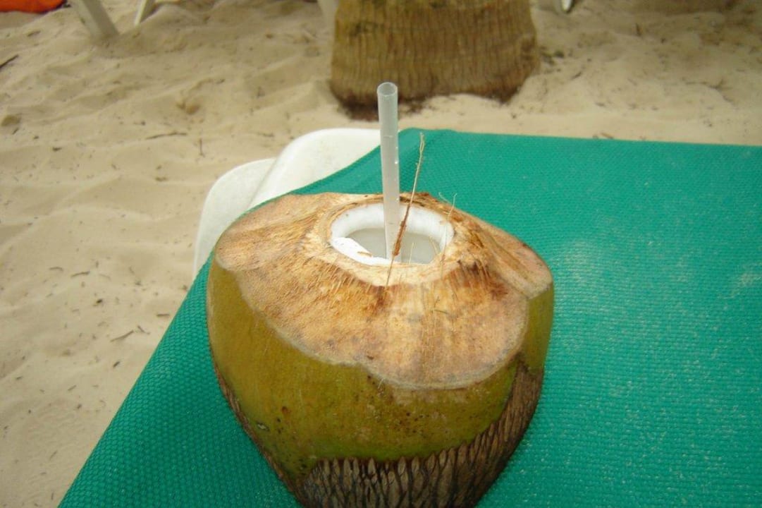 Kokos na plaży Hotel Riu Palace Punta Cana