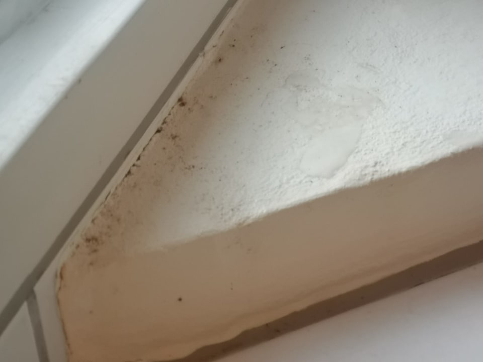 Zimmer Novasol Ferienhäuser