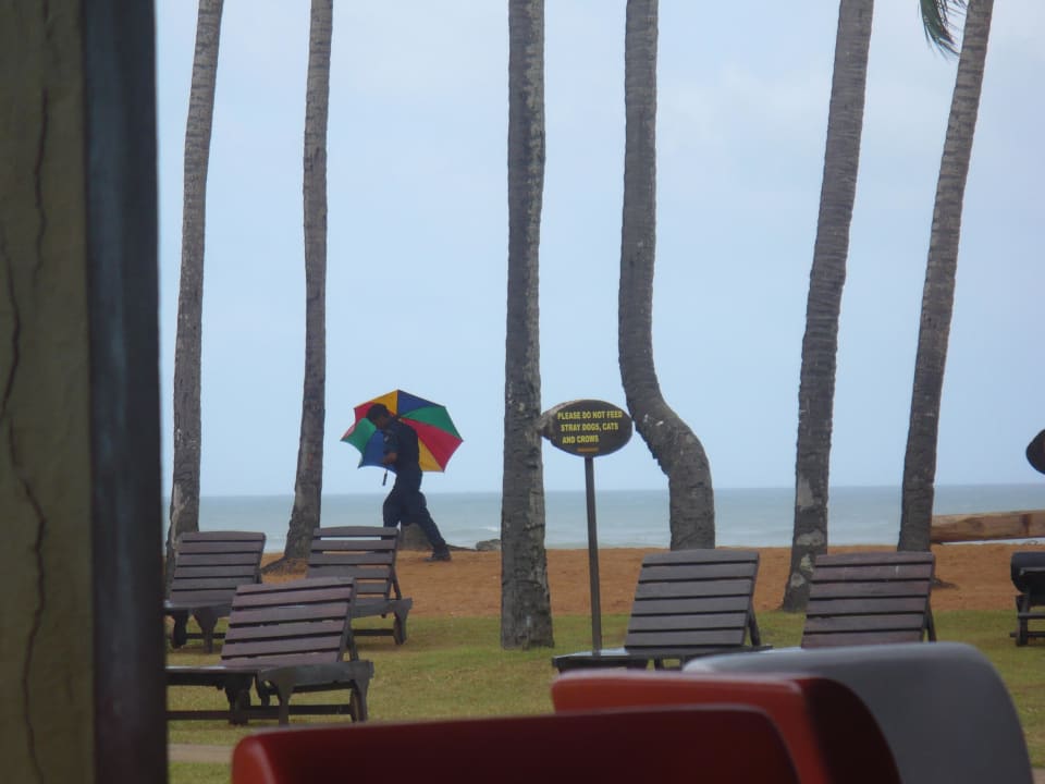Sonnenschirm im Regen Club Hotel Dolphin