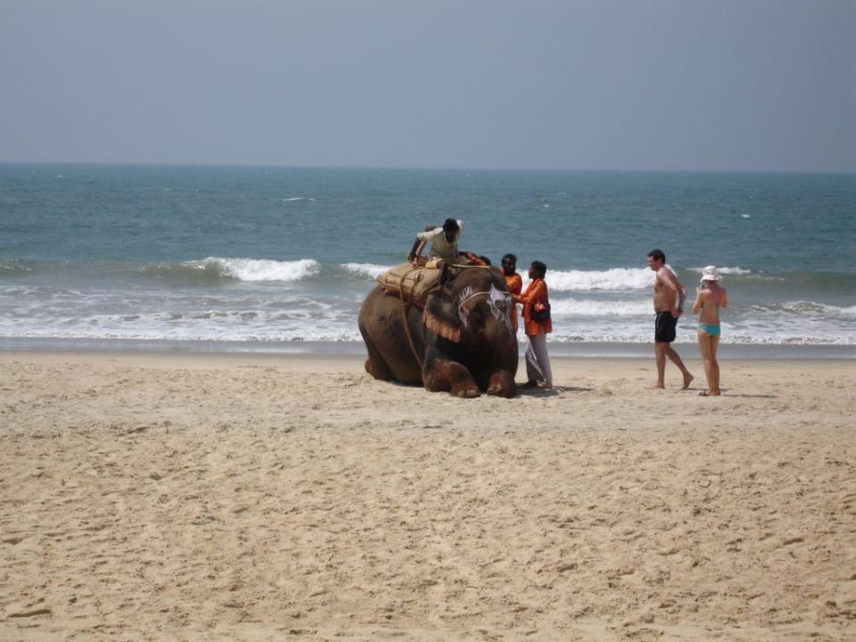 Strand vor dem Hotel Hotel Varca Palms Beach