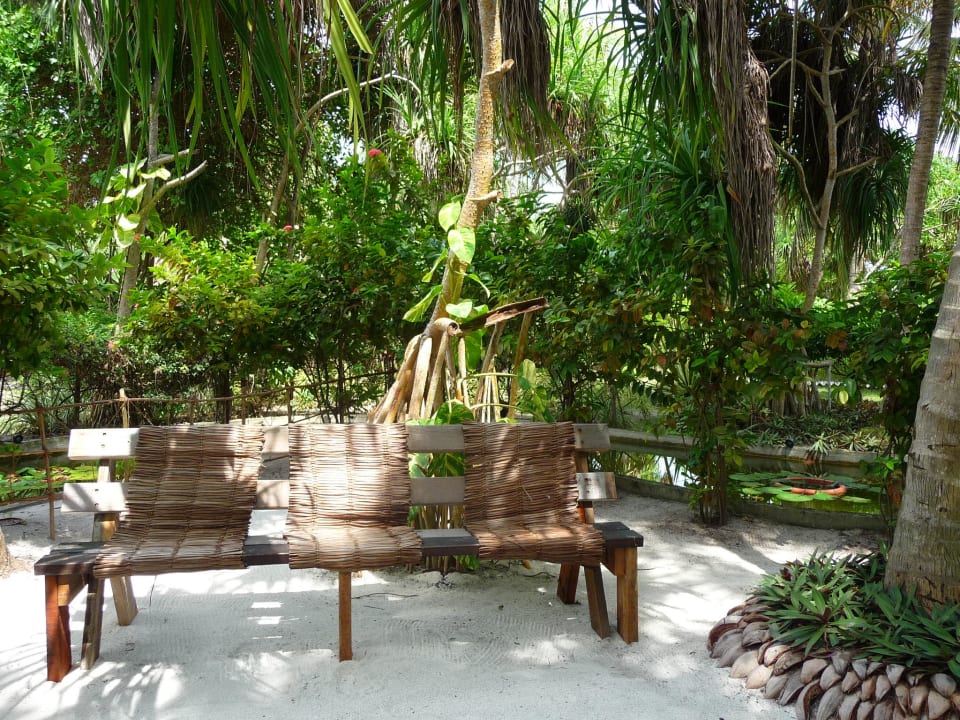 Jardin exotique Adaaran Select Meedhupparu Island Resort - Premium All Inclusive