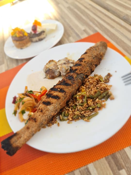 Gastro JAZ Elite Casa del Mar Beach