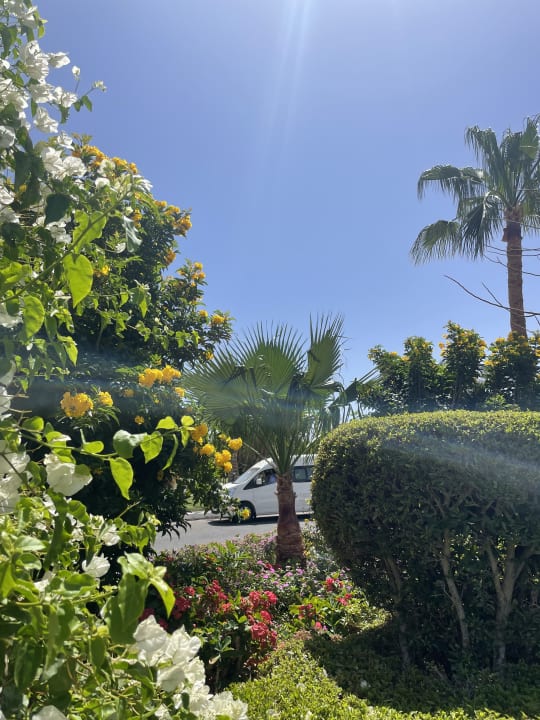Gartenanlage Cleopatra Luxury Resort Makadi Bay
