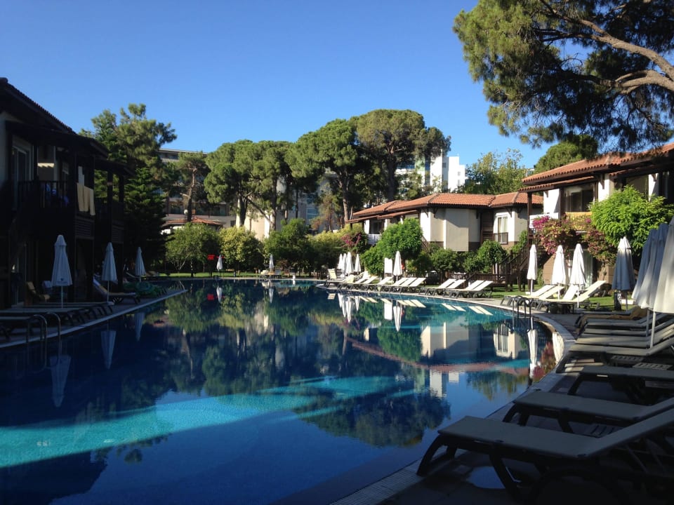 Lake Villen Papillon Ayscha