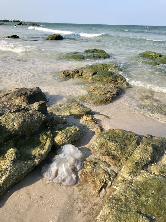 Strand Hilton Hua Hin Resort & Spa