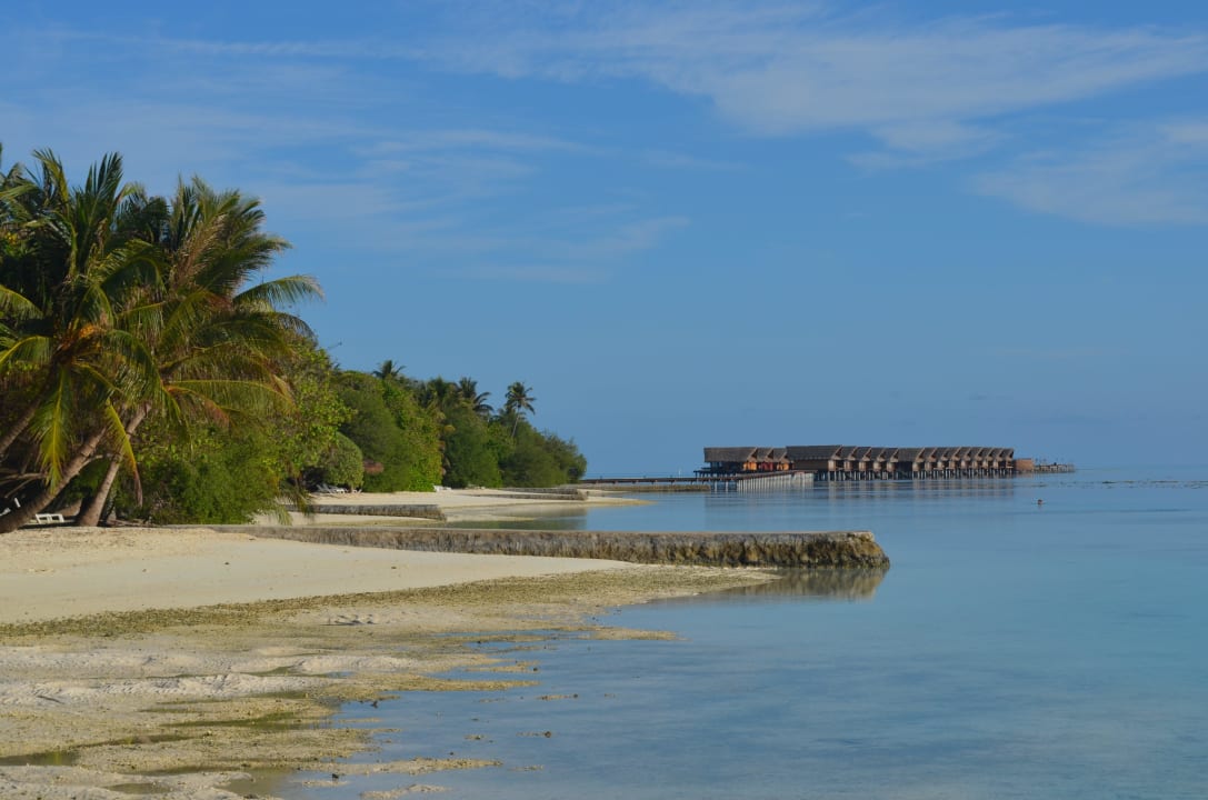 Strand bei Ebbe Adaaran Select Hudhuran Fushi - Premium All Inclusive