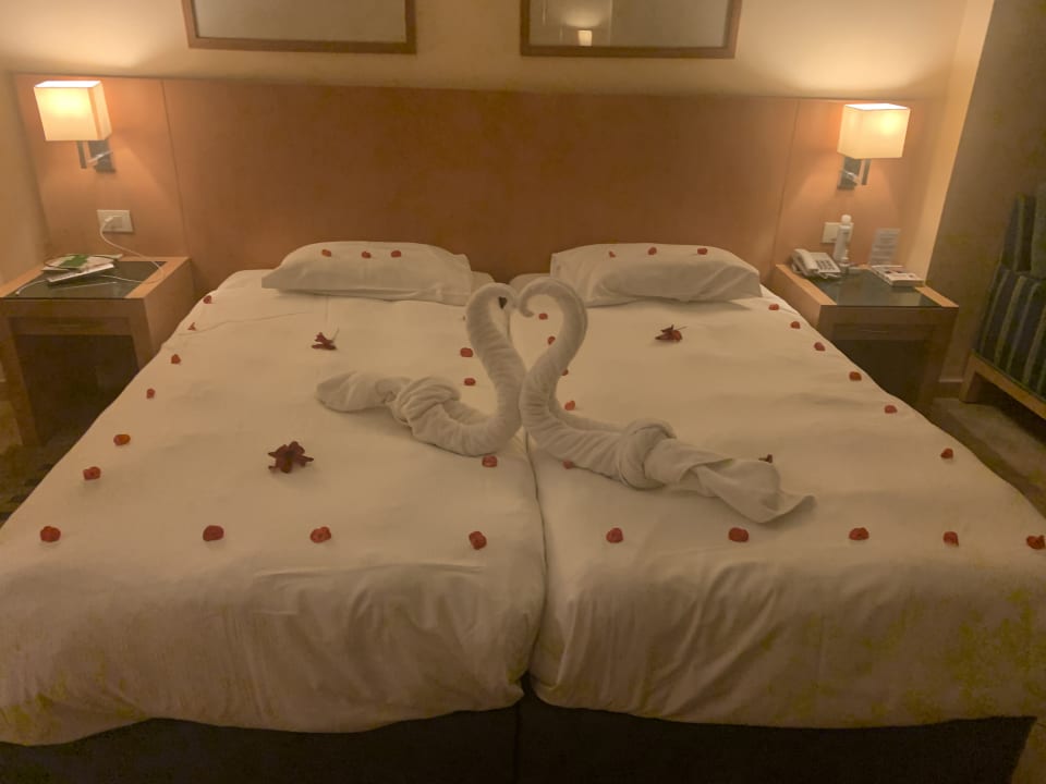 Zimmer Cleopatra Luxury Resort Makadi Bay