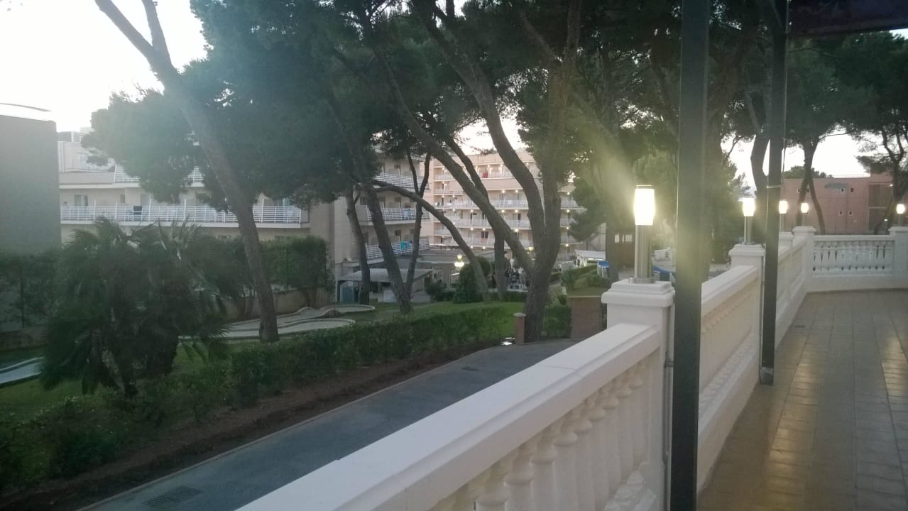 Terraza  MLL Palma Bay Club Resort