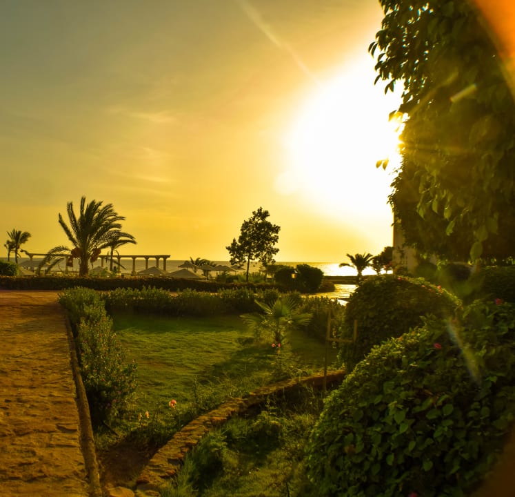 Gartenanlage Three Corners Equinox Beach Resort