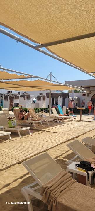 Strand Seashell Vega