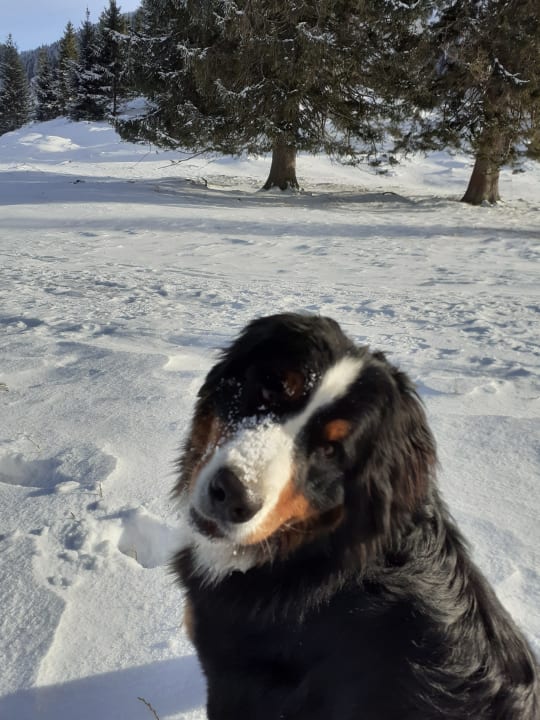 Sonstiges Ferienwohnungen Estermannhof