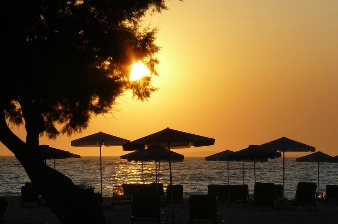 Sonnenuntergang Diana Studios