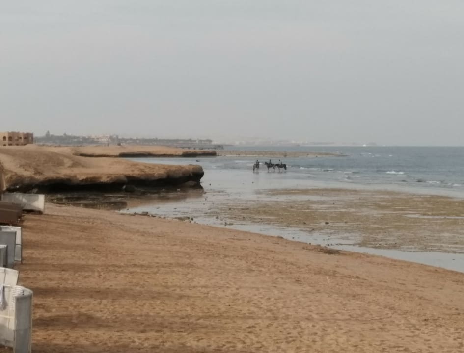 Strand Serenity Alpha Beach