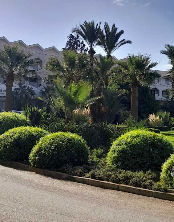 Sonstiges Sentido Phenicia